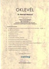 oklevel2_small_b_141